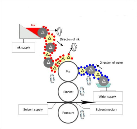 Sheet Fed Offset Technology